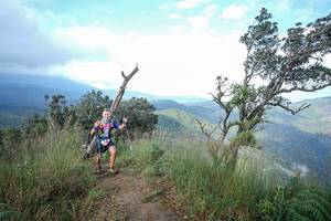 BIB: 
                            <button type="button" onclick="openModal(22372527)" class="btn btn-primary btn-sm float-right btn-popup" data-toggle="modal" data-target=".modal-high-quality">
                        <i class="fas fa-shopping-cart"></i> Add to Cart
                    </button>
                                            <button type="button" onclick="isThisMe(22372527, true)" class="btn btn-success btn-sm float-right btn-popup btn-isme hidden" data-toggle="tooltip" data-placement="bottom" title="นี่คือรูปของคุณใช่ไหม คลิกที่นี่เพื่อเอาเข้าอัลบั้ม">
                        <i class="fas fa-plus"></i> Add to album
                    </button>
                    <button type="button" onclick="isThisMe(22372527, false)" class="btn btn-warning btn-sm float-right btn-popup btn-isnotme hidden">
                        <i class="fas fa-ban"></i> Remove from album
                    </button>